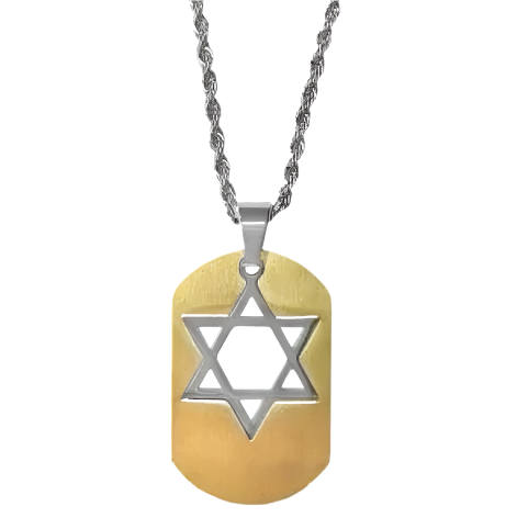 Stainless Steel  Two-Tone 14kt Gold Plated Star of David Dog Tag with Chain