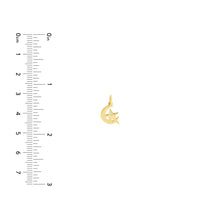 Load image into Gallery viewer, Moon and Star 14kt Gold Pendant Charm