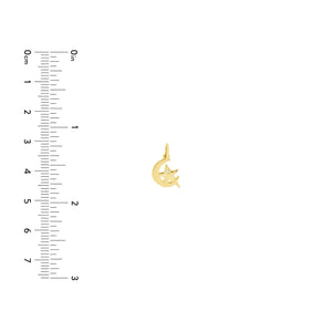 Moon and Star 14kt Gold Pendant Charm